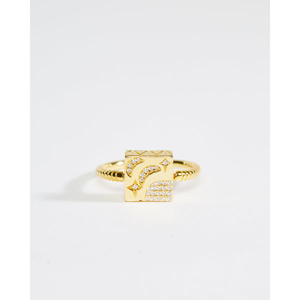 Scarab and Moon Two Sided Square Ring